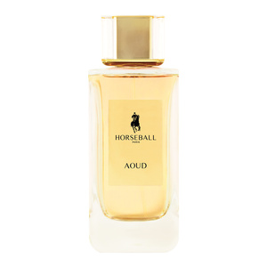 Aoud Version Eau de parfum 100 ml EDP 100ML