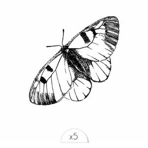 Papillon noir Tatouage éphémère