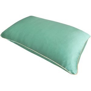 Pure Silk Pillowcase Coussin