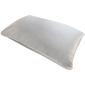 Pure Mulberry Silk Anti Ageing Pillowcase Coussin 