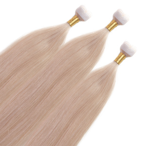 Extensions adhesives Mini Tape Premium cheveux naturels #20 Blond cendré extensions