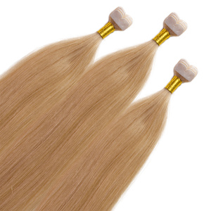 Extensions adhesives Mini Tape Premium cheveux naturels #27 Blond doré foncé extensions