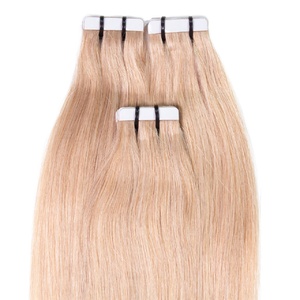 Extensions adhésives Premium cheveux naturels #20 Blond cendré extensions