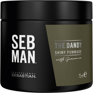 The Dandy Light Hold Pomade Cire capillaire 